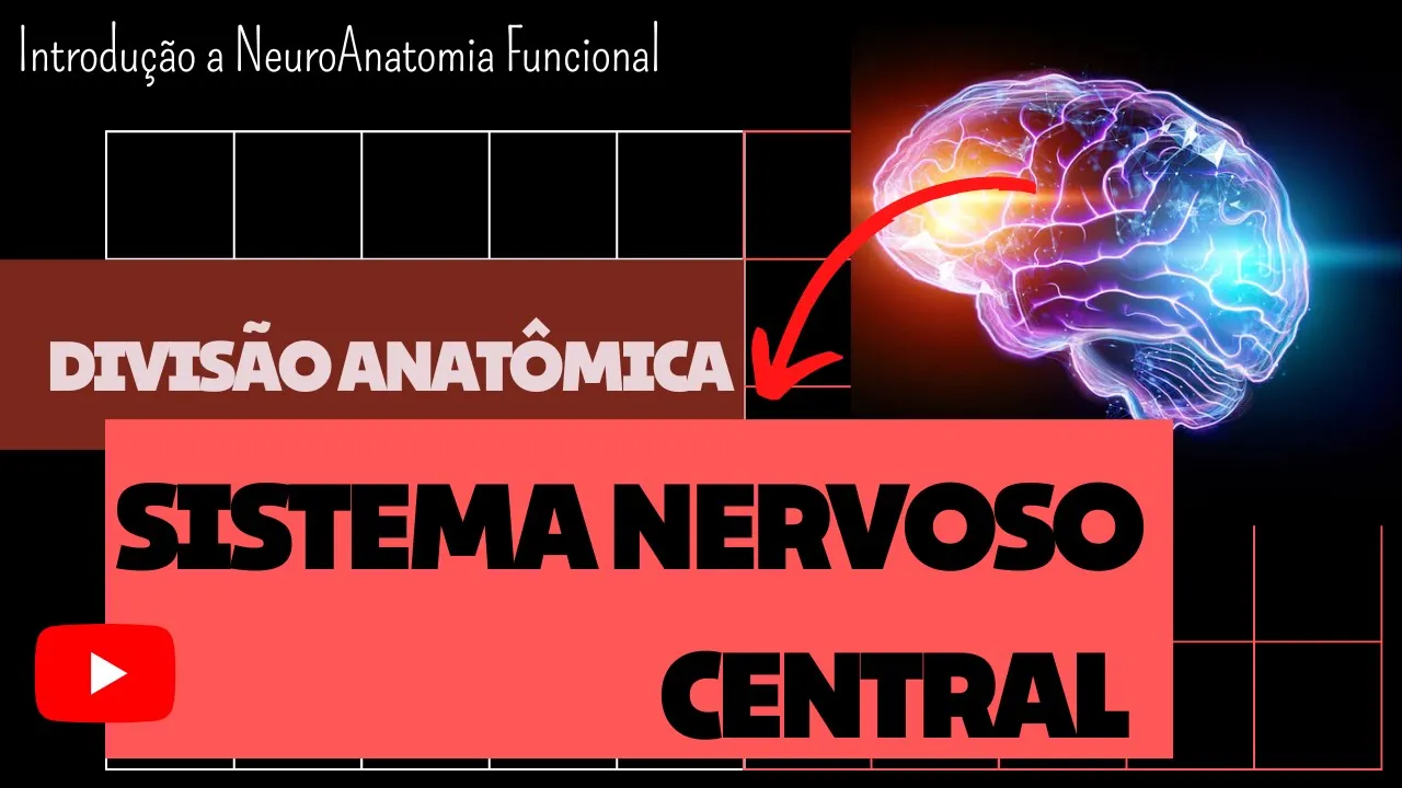 Divisão ANATOMICA Sistema Nervoso CENTRAL