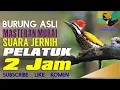 Download Lagu PELATUK SAMPIT DURASI 2 jam nonstop