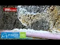 Amag posible nga bang dahilan ng ubo t sipon Pinoy MD
