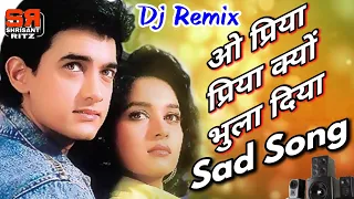 dj sad mix o priya priya kyon bhula diya dil hindi dj song old is gold shrisantritz 