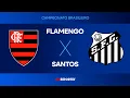 Flamengo x Santos - AO VIVO - 09/11/2025 - Brasileirão
