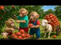 Download Lagu YiYi and YinYin take the goats harvesting rambutan to the market to buy food
