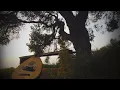 Download Lagu Ioannis Tousias - Weeping blooms