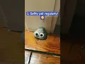 Download Lagu Ways to make your pet rock like you! 🙂 #shorts #petrock #tutorial