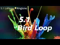 5 1 Bird Loop High quality 256kbps SkTeck