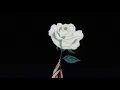 Lana Del Rey - Chemtrails Over The Country Club (Slowed + Reverb)