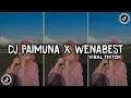DJ PAIMUNA X WENABEST KANE VIRAL TIKTOK