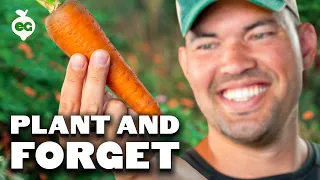 9 Easy Veggies To Plant In Fall And FORGET All Winter
