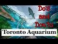 Ripley s Aquarium of Canada in Toronto Tips Tour and What NOT to do