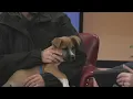 Friday Pets Athena