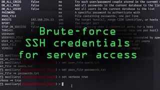 Download How Hackers Could Brute-Force SSH Credentials to Gain Access to Servers MP3