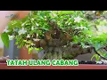 Download Lagu \