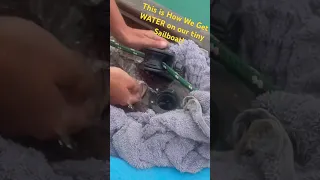 Girl Collects Water on a BOAT | This is one way we collect rain water (FREE!) on our 35 ft Sailboat!