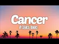Download Lagu My Chemical Romance - Cancer (Lyrics)