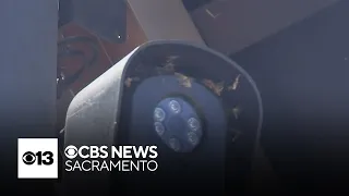 California city cancels Flock cameras over privacy concerns
