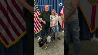 Police dog retires with honors after being shot by suspect