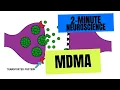 Lagu 2-Minute Neuroscience: MDMA