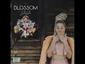 Sha Sha - Tender Love (feat DJ Maphorisa & Kabza De Small)
