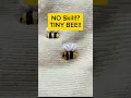 DIY Bee Embroidery Tutorial - Easy Stitch for Beginners make your clothes turning