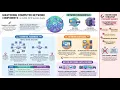 Integer Real String Char Boolean in VB in 10 Minutes Computer Science 0478 IGCSE Ace The Exam