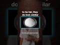 Download Lagu AI almost ended this old man.