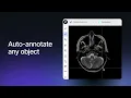V7 for Medical Image Annotation Model Training