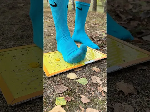 👨‍🌾 A guy Shows a Wilderness Survival Lifehack 🧦💦