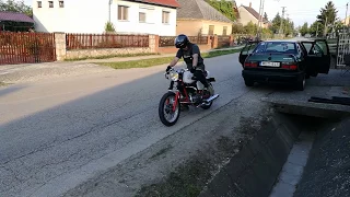                       دندنها
