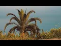 Blank & Jones - Malibu (Official Video)