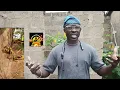 Download Lagu Di yi niŋ ka a niŋdi daabiligu, bɛi a niŋdi la kohimma ni damma a ʒishɛi ka nya ka daa dii kani n za