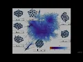 Unsupervised Deep Learning in Python - learn Python