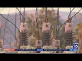 Glendale warns of possible rolling blackouts