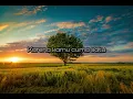 Download Lagu Naif - Karena kamu cuma satu (Lirik)
