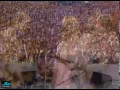 Peter, Paul and Mary - If I Had A Hammer (Giant Stadium, East Rutherford, NJ - Jun 15, 1986)