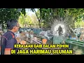 Download Lagu Ngeri !! Kisah Nyata Pak Haji Kaya Raya Hilang Masuk Alam Gaib Akibat Meludahi Pengemis