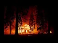 Architects - Animals (Audio)