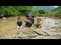 Download Lagu how to harvest giant pond fish on rainy days to sell - cook porridge for little daughter to eat