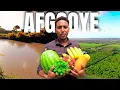 Download Lagu Afgooye dhulbeereedka ugu weyn gayiga somalida 2025