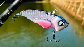 Can Fish Handle This Much Vibration?
