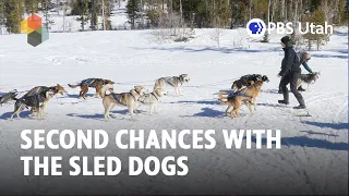 Second Chances with the Sled Dogs of Luna Lobos Sanctuary FULL SEGMENT This Is Utah S5E1