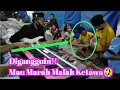 Lagu Hadrah Modern (hamham qolbi)  Kolaborasi Hadrah dan Dangdut.