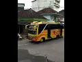 Download Lagu telolet stj draka viral basuri V1 V2 V3 #tiktok #trending #shorts