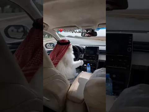 مجنون