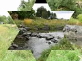 The Ralston-Central Park