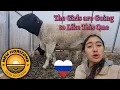 Lagu The Girls are Going to Like This One 🐑 Farming in RUSSIA 🇷🇺 ❤️