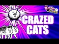 When Should You Get CRAZED CATS The Battle Cats