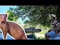 Download Lagu UQALA NJEE UNYAKA- DEDA MHLANGALA  ENDAWENI