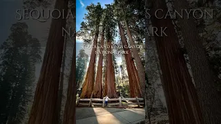 Sequoia and Kings Canyon National Park
