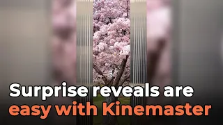 Going up? Learn how to do this with #KineMaster