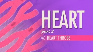 The Heart Part 2 - Heart Throbs Crash Course Anatomy Physiology